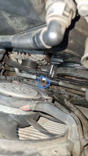 WhatsApp Image 2025-11-15 at 16.29.40.jpeg